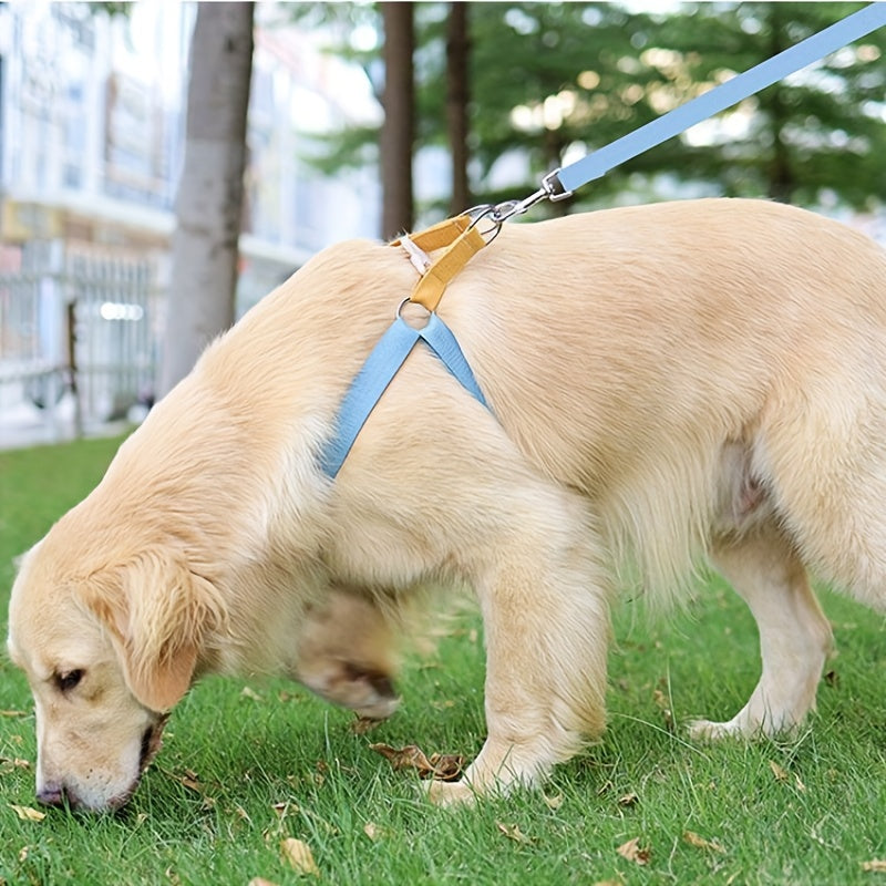 Why Your Pet Deserves the Rainbow Colorblock Pet Harness Vest